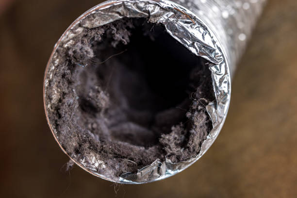 Best Professional Duct Cleaning Services  in Pearl River, LA